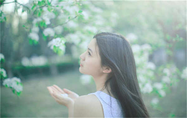 晋宁验血查男女几周可以验(验血查男女结果图)